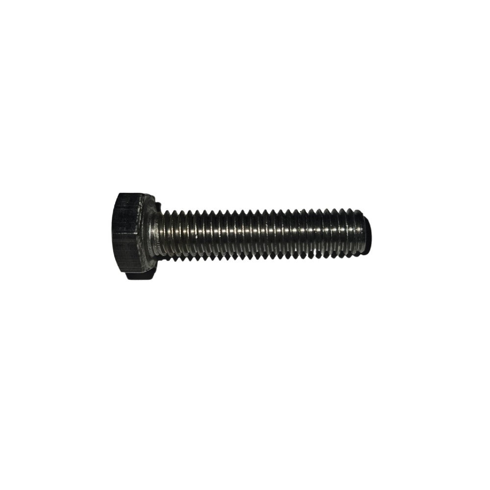 10134N SCREW M8-30 A2