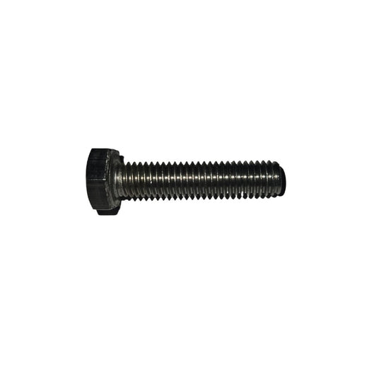 10134N SCREW M8-30 A2